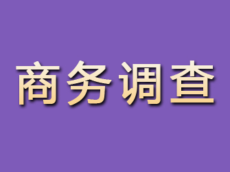 同仁商务调查