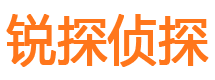 同仁市私家侦探